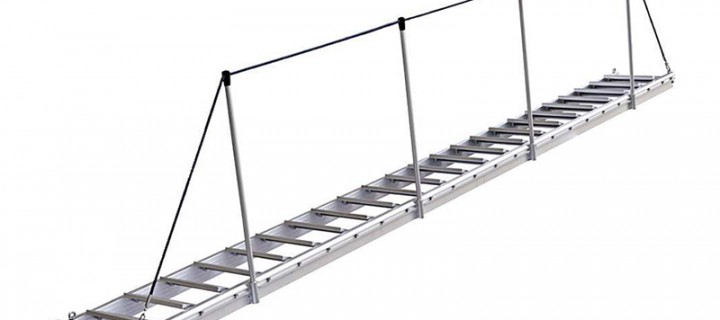 Ladder Gangway